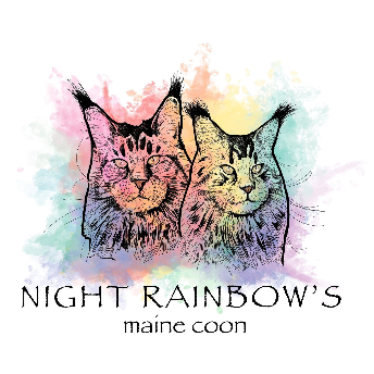 MaineCoonNightRainbows
